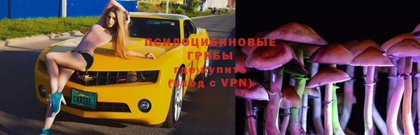 герыч Арсеньев