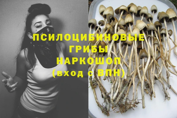mix Аркадак