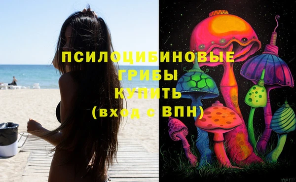 герыч Арсеньев
