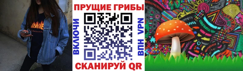 Галлюциногенные грибы мицелий  продажа наркотиков  Буинск 